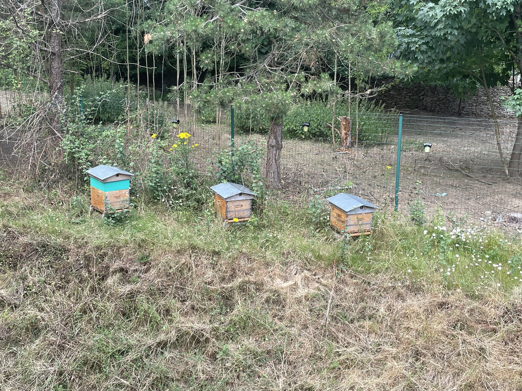 Ruche CIAN pour la biodiversité